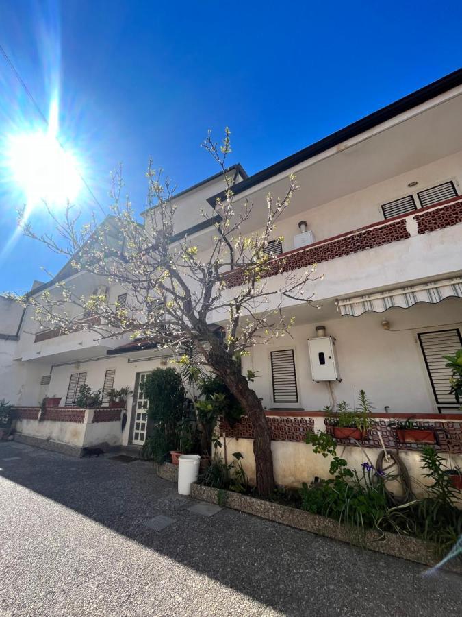 B&B Nonna Viola Palizzi Marina ภายนอก รูปภาพ